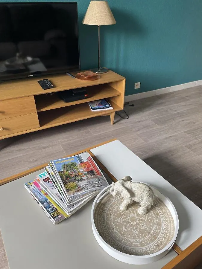 Le Seventie'S Apartment Millau France